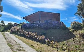 Turismo del Bosque